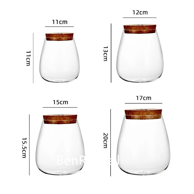 MossGarden Glass Terrarium