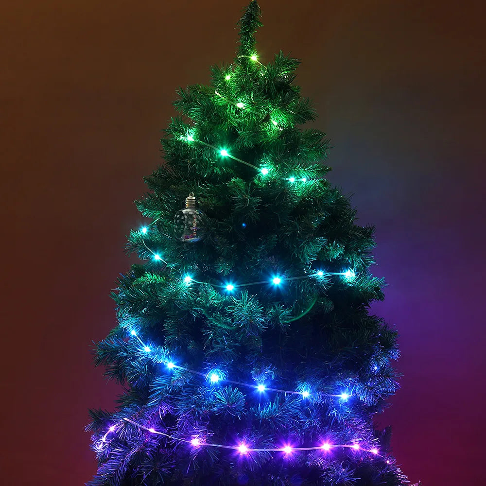 LumiGlow Fairy Lights