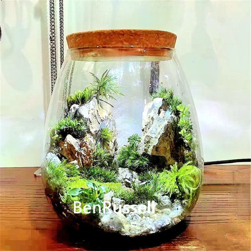MossGarden Glass Terrarium