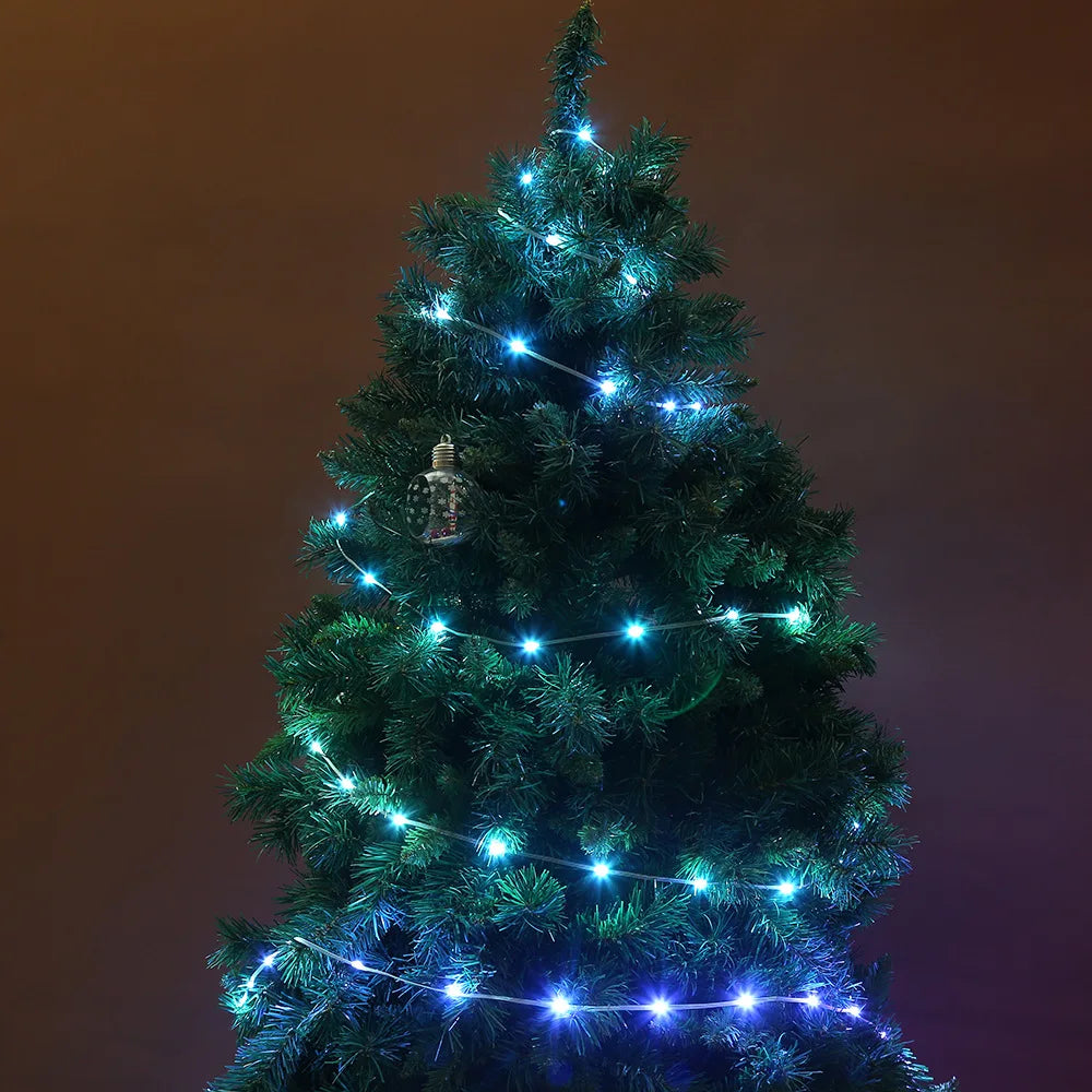 LumiGlow Fairy Lights