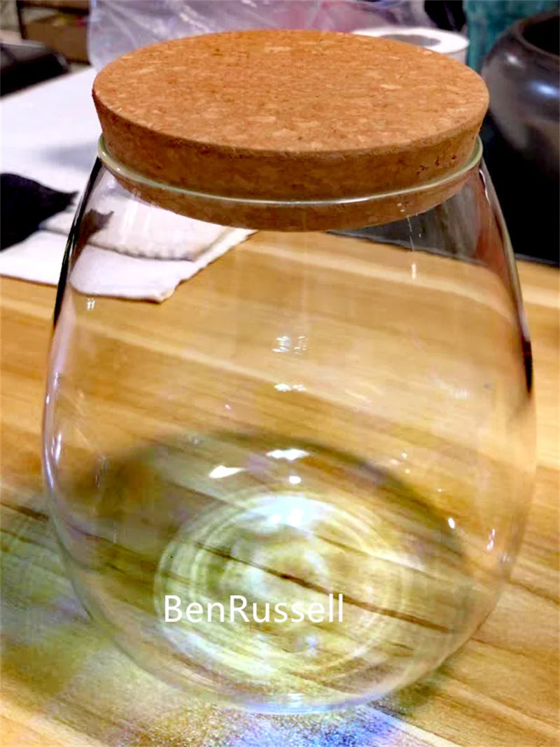 MossGarden Glass Terrarium