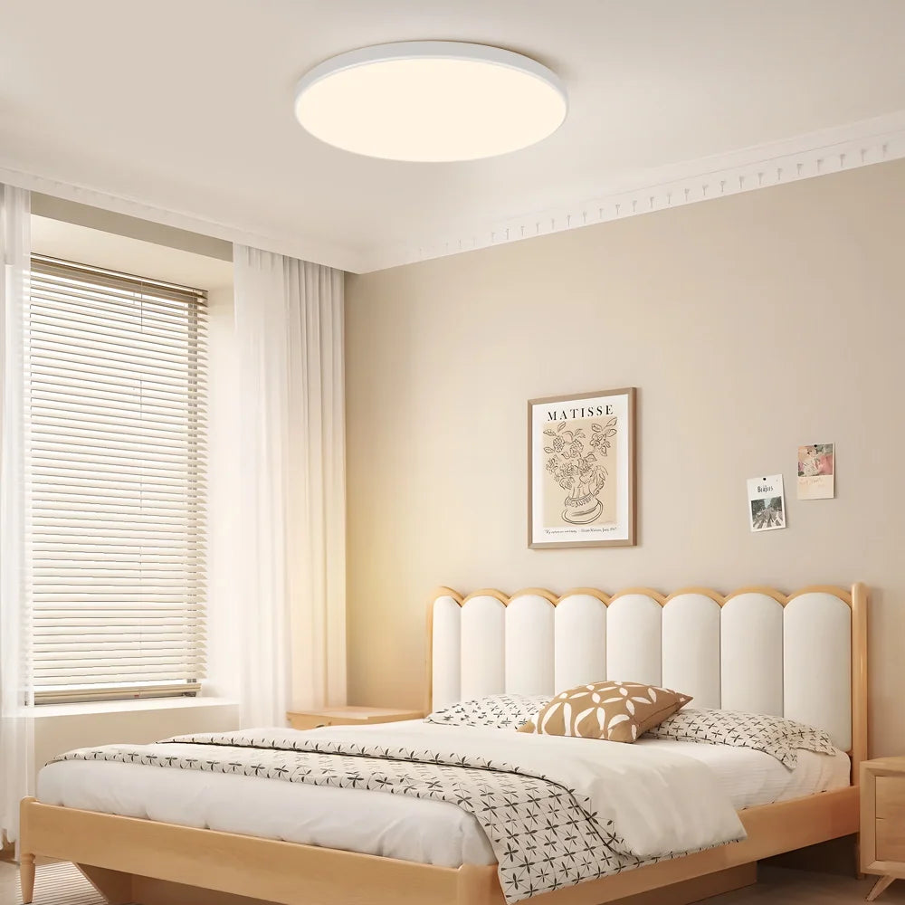 LumaSense Smart Ceiling Light
